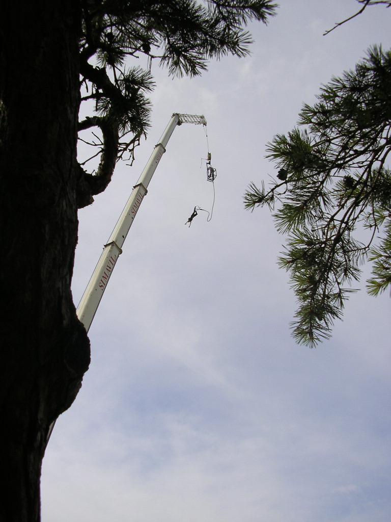 Saut à l'élastique -